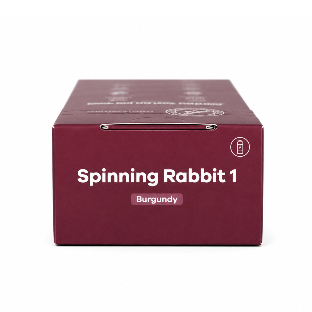 Satisfyer Spinning Rabbit 1 - imagen 9