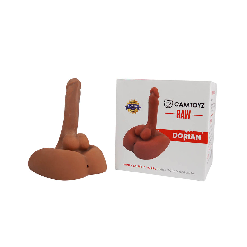 Mini Torso Dorian Camtoyz - imagen 5