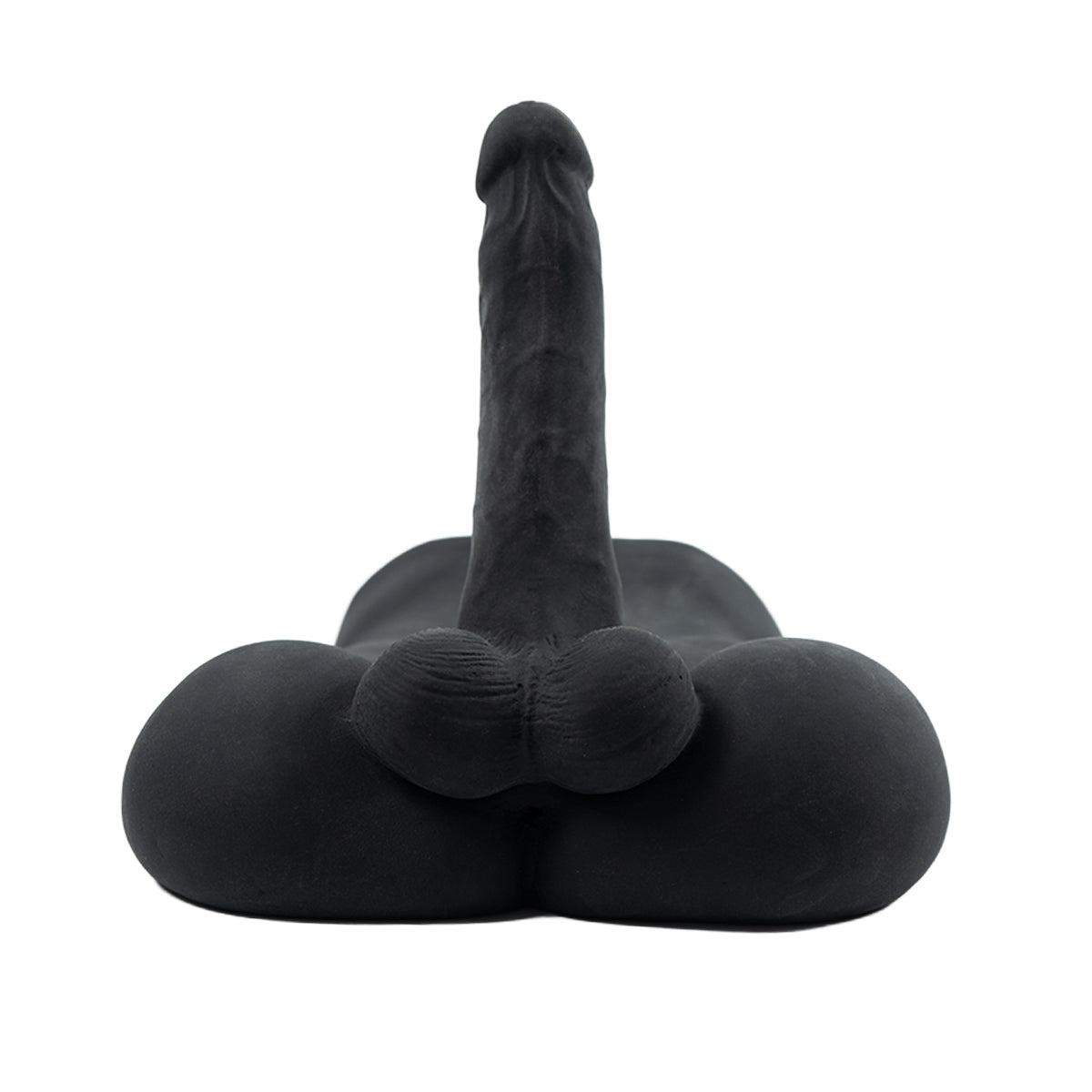 Torso Landon Camtoyz - imagen 8