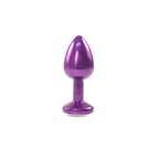 Plug Anal Dipsy Camtoyz - imagen 5