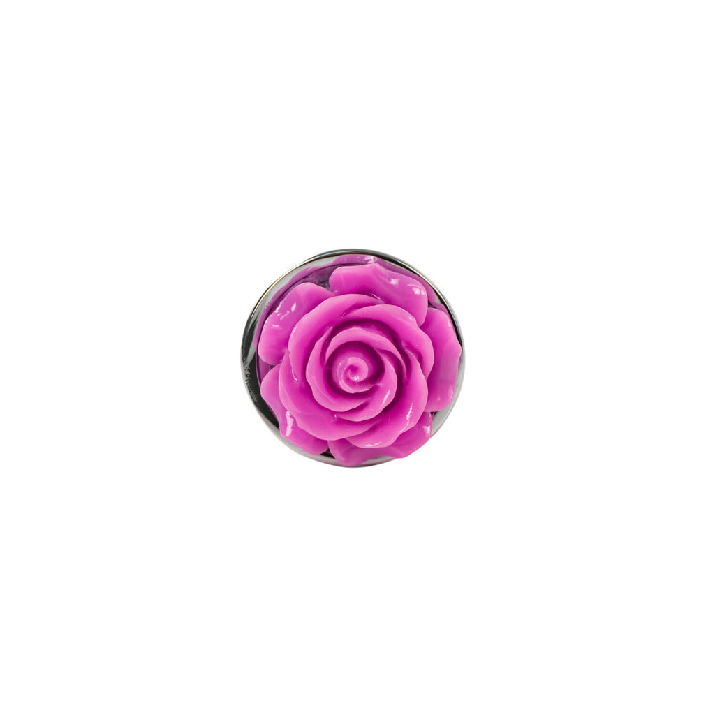 Plug Anal Galica Camtoyz - imagen 4