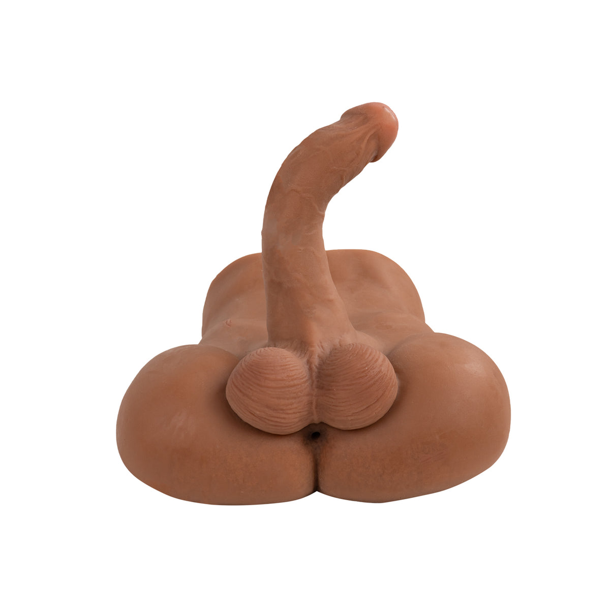 Torso Landon Camtoyz - imagen 4