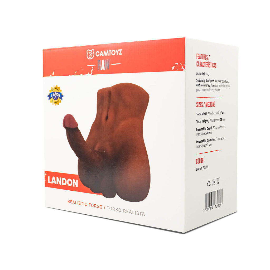 Torso Landon Camtoyz - imagen 6