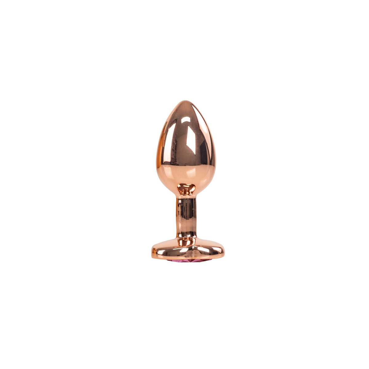 Plug Anal Mikel Camtoyz - imagen 2