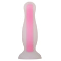 Plug Anal Luminoso Evolved - imagen 1